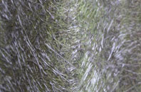 Mellon Charles fibreglass roof work